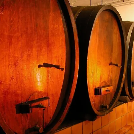 La Maison Du Vignoble