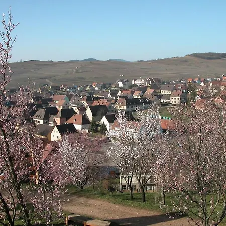La Maison Du Vignoble Daire *